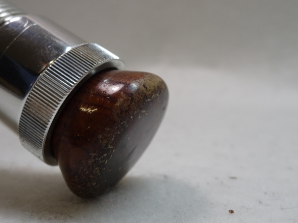 セージ　グラファイト２